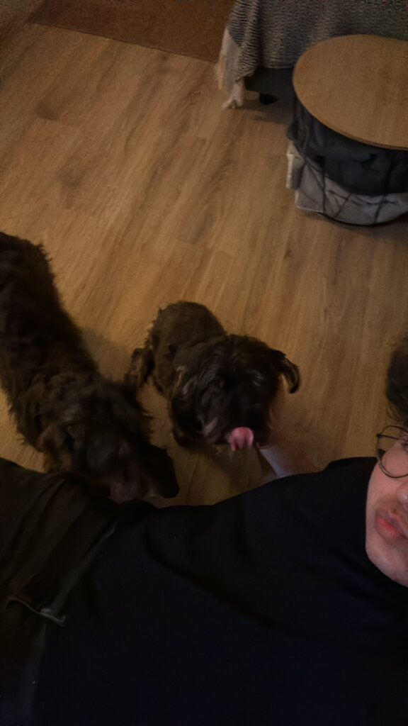 Mijn honden en ik