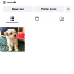 Instagram eigen pagina